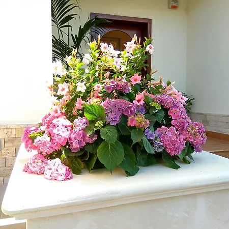 Le Camelie Marina di Ginosa