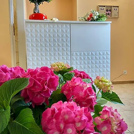 Bed & Breakfast Le Camelie 4*