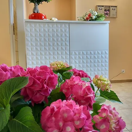 Bed & Breakfast Le Camelie